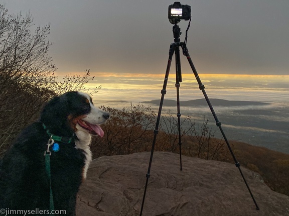 2021-10-Catskills-Emmy-Lou-in-Van-26