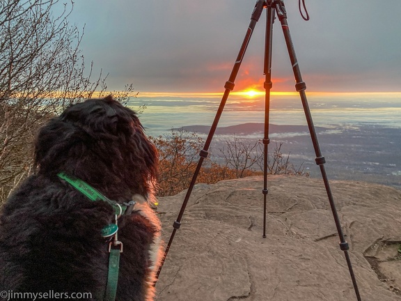 2021-10-Catskills-Emmy-Lou-in-Van-42