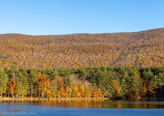 2021-10-Catskills-Emmy-Lou-in-Van-88