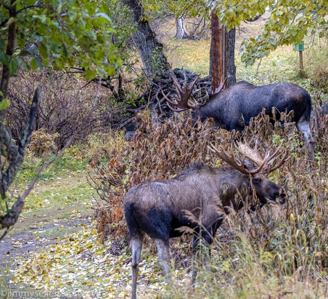 Alaska-2021-27