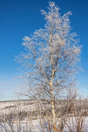 Alaska-2021-103