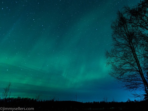 Alaska-2021-106