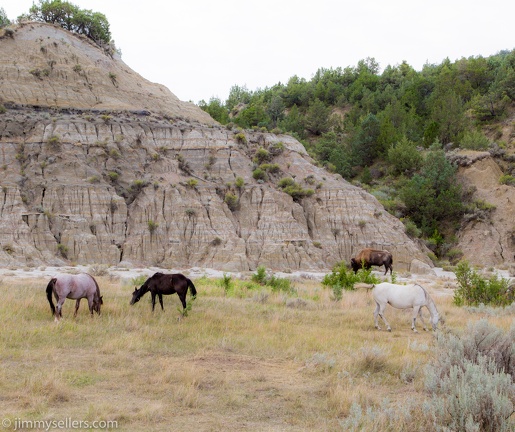 2020-08-Yellowstone-trip-west-1829