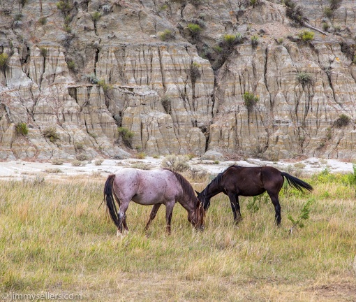 2020-08-Yellowstone-trip-west-1831