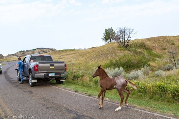 2020-08-Yellowstone-trip-west-1857