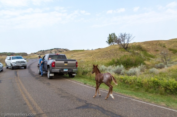 2020-08-Yellowstone-trip-west-1858