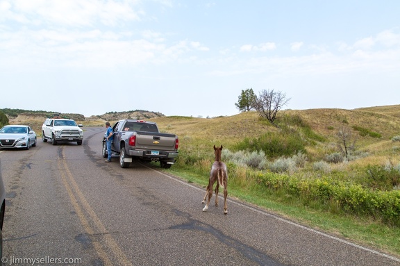 2020-08-Yellowstone-trip-west-1859