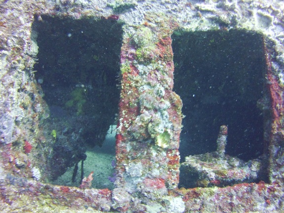 2016-05-Tanya-diving-Mexico-11