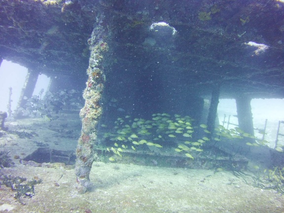 2016-05-Tanya-diving-Mexico-19