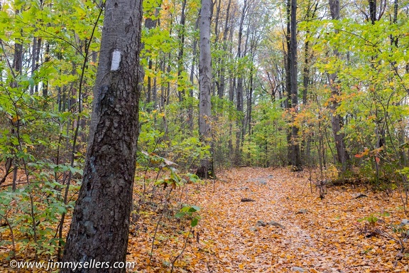 2015-10-Maryland-AT-hike-117