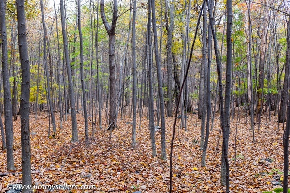 2015-10-Maryland-AT-hike-140