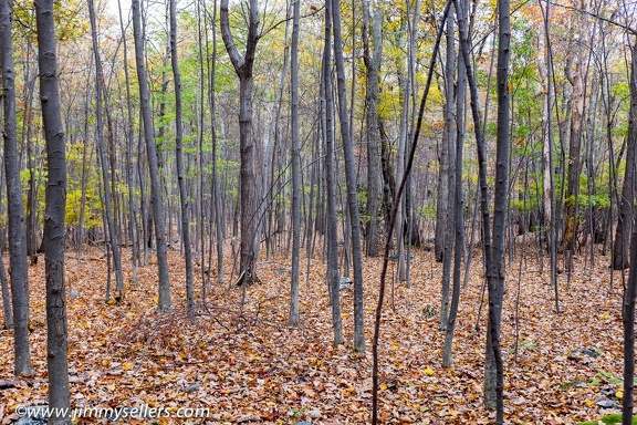 2015-10-Maryland-AT-hike-140