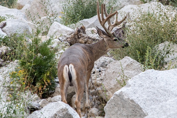 2014-09-Yosemite-82