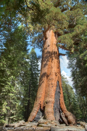 2014-09-Yosemite-358-HDR