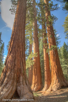 2014-09-Yosemite-382-HDR