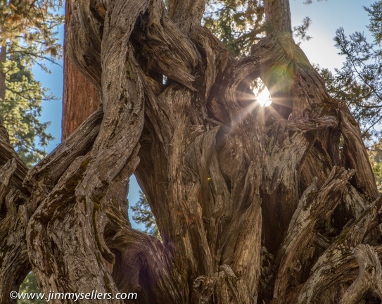 2014-09-Yosemite-391