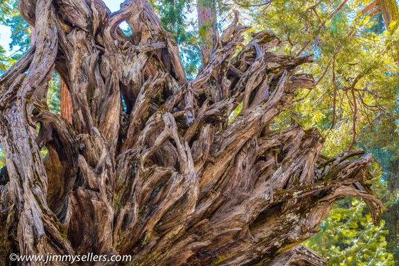 2014-09-Yosemite-397-HDR