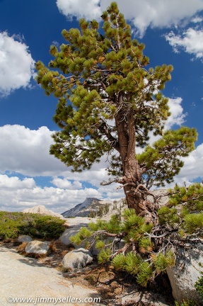 2014-09-Yosemite-508-HDR