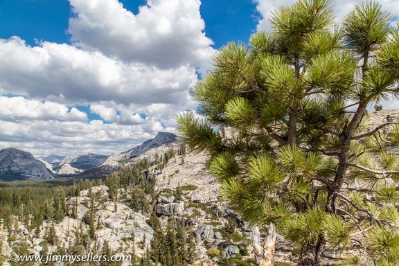 2014-09-Yosemite-512