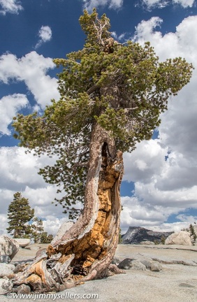 2014-09-Yosemite-534