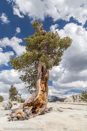 2014-09-Yosemite-536