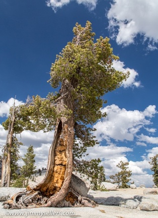 2014-09-Yosemite-541