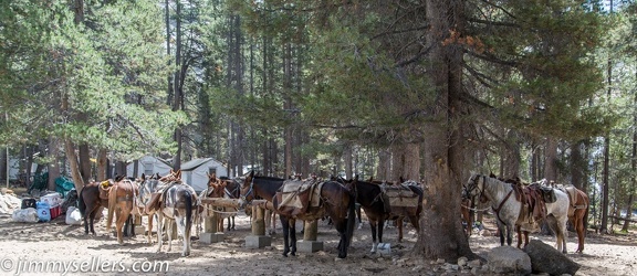 2014-09-Yosemite-738