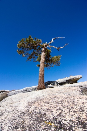 Yosemite-May-2013-233