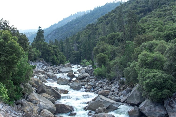 Yosemite-May-2013-370