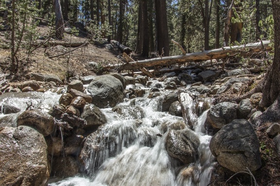 Yosemite-May-2013-629