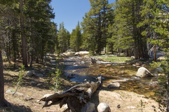 Yosemite-May-2013-652