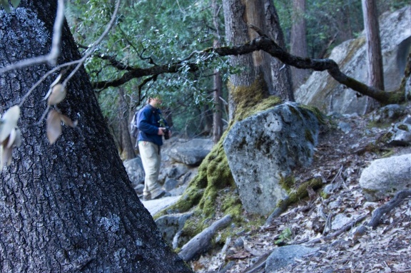 Yosemite-May-2013-872