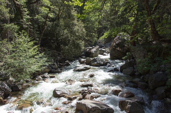 Yosemite-May-2013-950