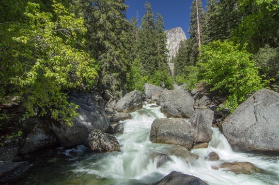 Yosemite-May-2013-1091