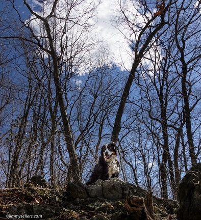 2014-03-15-Puseyville-Hill-9