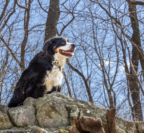 2014-03-15-Puseyville-Hill-3