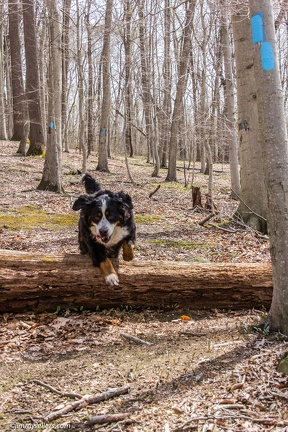 2014-04-19-Mason-Dixon-Conowingo-Dam-7