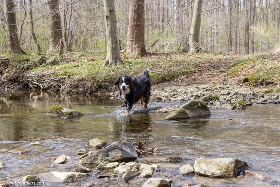 2014-04-19-Mason-Dixon-Conowingo-Dam-16