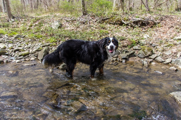 2014-04-19-Mason-Dixon-Conowingo-Dam-29