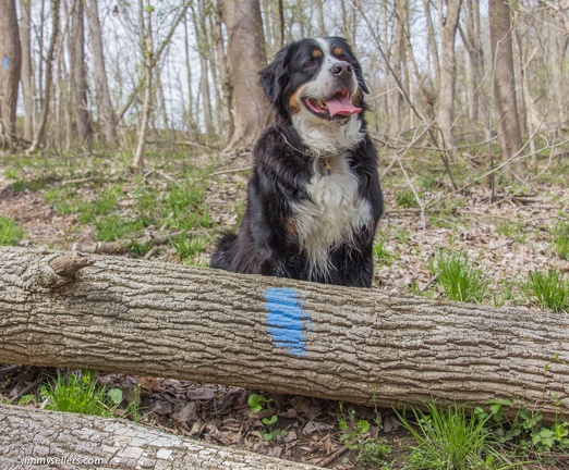 2014-04-19-Mason-Dixon-Conowingo-Dam-34