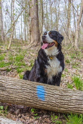 2014-04-19-Mason-Dixon-Conowingo-Dam-48