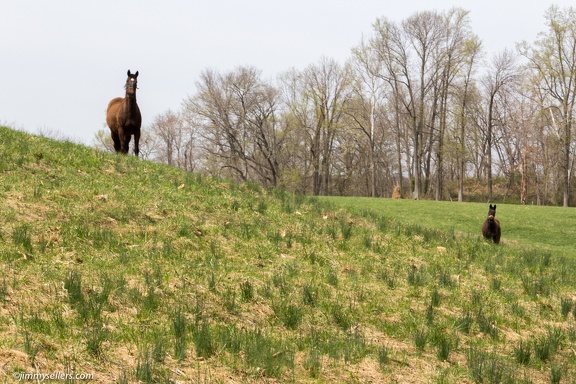 2014-04-19-Mason-Dixon-Conowingo-Dam-57