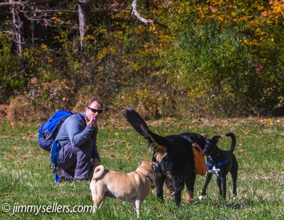 Geocaching-Oakerisons-Fair-Hill-2013-11-03-028