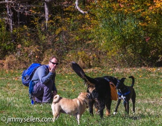 Geocaching-Oakerisons-Fair-Hill-2013-11-03-028