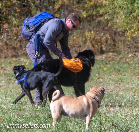 Geocaching-Oakerisons-Fair-Hill-2013-11-03-029