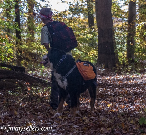 Geocaching-Oakerisons-Fair-Hill-2013-11-03-041