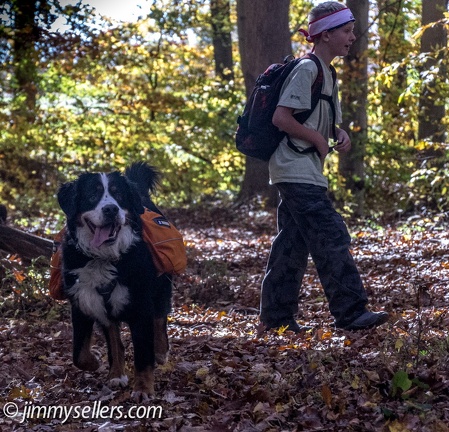 Geocaching-Oakerisons-Fair-Hill-2013-11-03-042