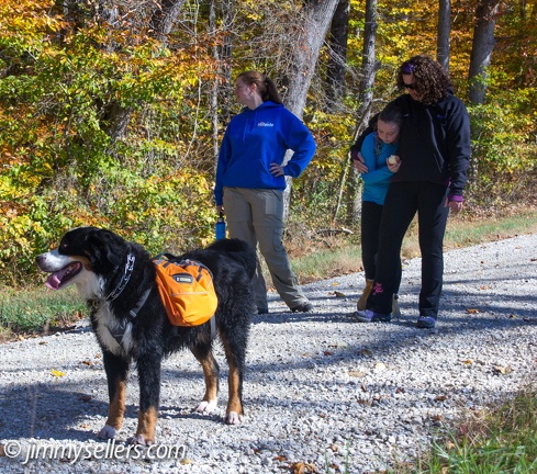 Geocaching-Oakerisons-Fair-Hill-2013-11-03-072