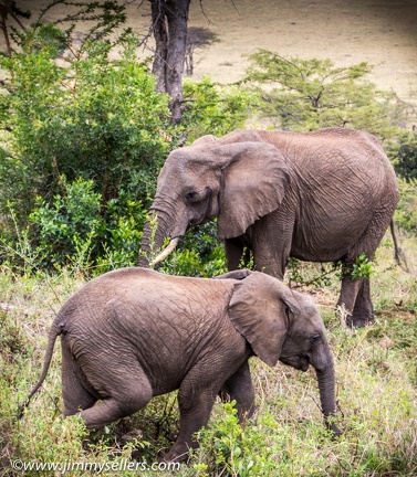 Africa-2013-1764