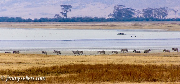 Africa-2013-2155